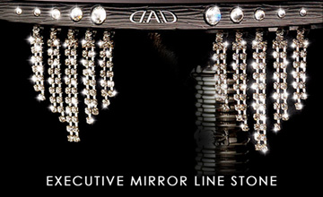 ギャルソン・DAD レクサスLS (商品イメージ)