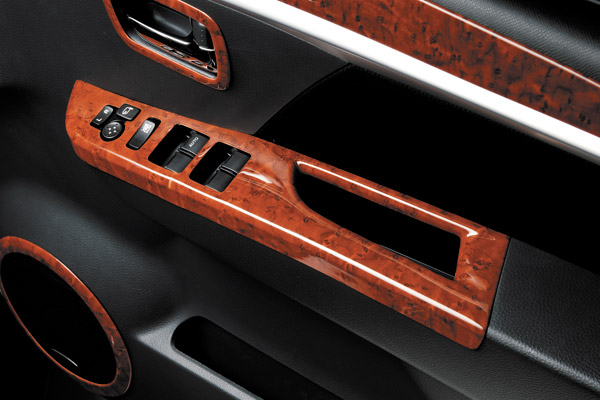 �h�A�X�C�b�`�p�l��