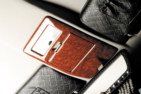 �I�[�o�[�w�b�h�R���\�[���p�l��