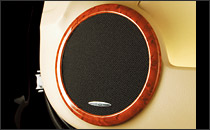 �M�����\���EDAD�@�X�g���[���@�E�b�h�p�l���E�C���e���A�p�l��