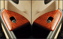 �M�����\���EDAD�@�X�g���[���@�E�b�h�p�l���E�C���e���A�p�l��