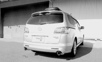 �g���X�g�@�l�o�u�@�}�t���[�ECS-GT�i���i�C���[�W�j